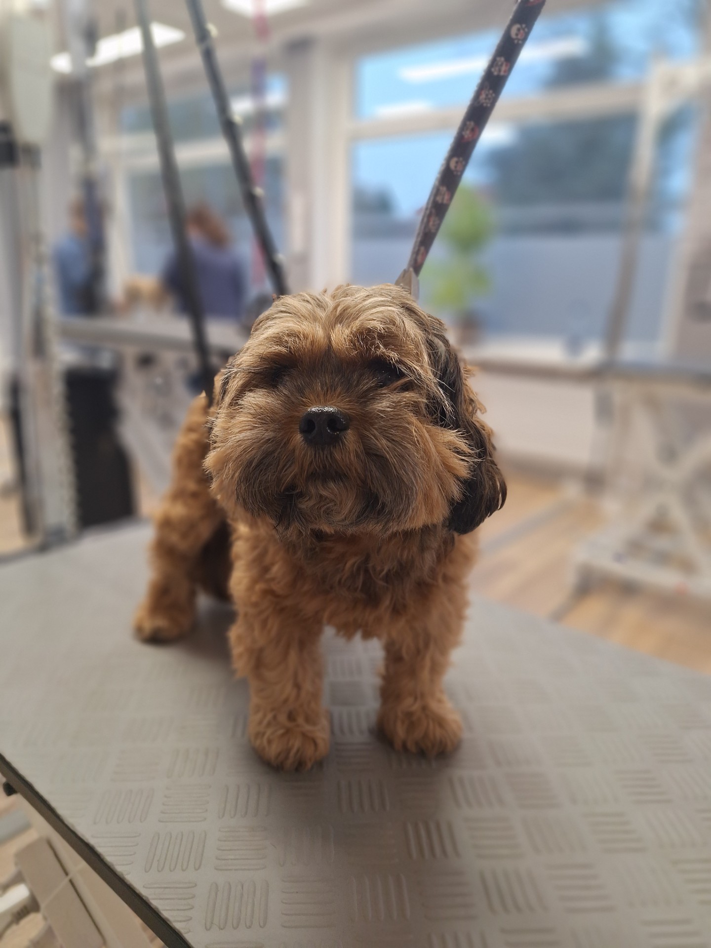 Vorher Aufnahme – Mini